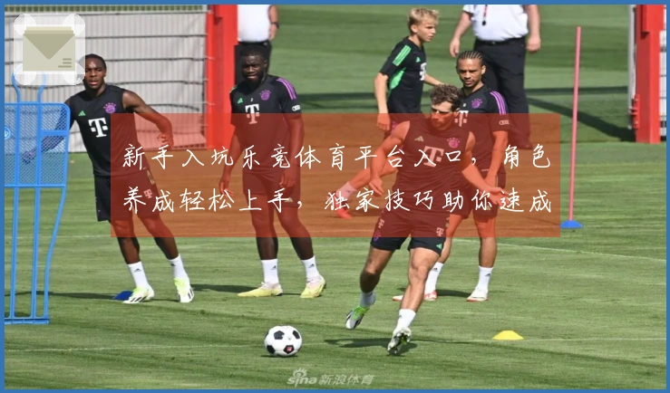 新手入坑乐竞体育平台入口，角色养成轻松上手，独家技巧助你速成大佬