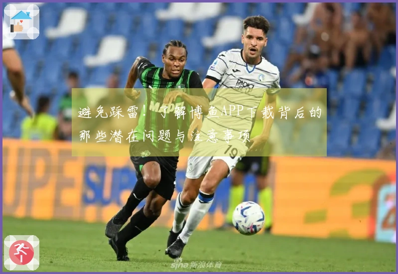 避免踩雷！了解博鱼APP下载背后的那些潜在问题与注意事项