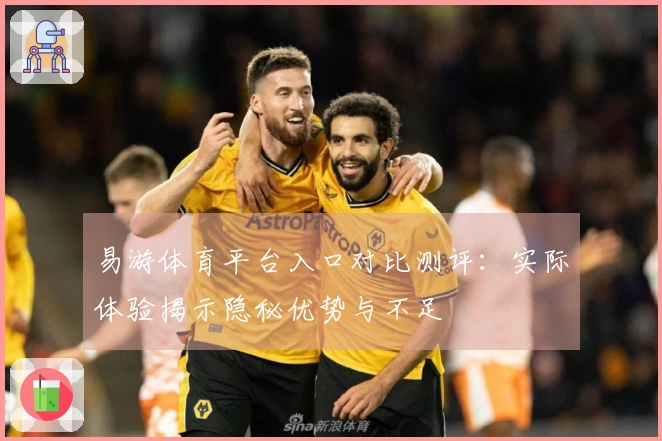 易游体育平台入口对比测评：实际体验揭示隐秘优势与不足