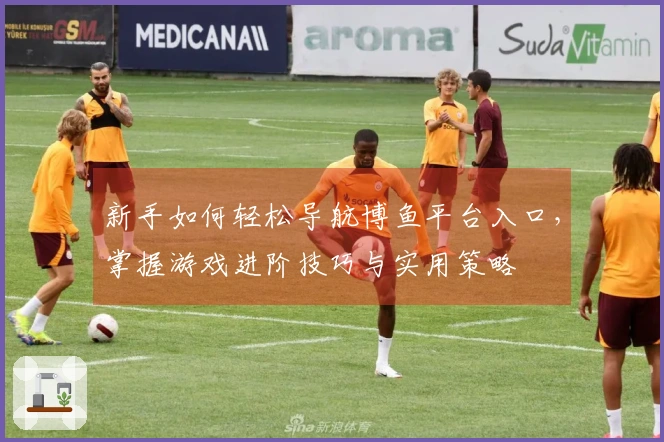 新手如何轻松导航博鱼平台入口，掌握游戏进阶技巧与实用策略