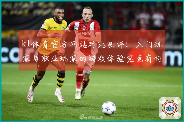 k1体育官方网站对比测评：入门玩家与职业玩家的游戏体验究竟有何不同？