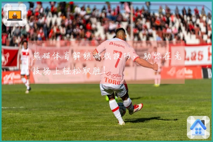 熊猫体育解锁游戏技巧，助你在竞技场上轻松取胜！