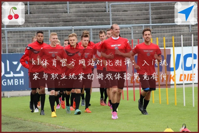 k1体育官方网站对比测评：入门玩家与职业玩家的游戏体验究竟有何不同？