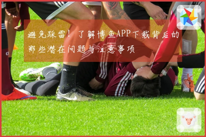 避免踩雷！了解博鱼APP下载背后的那些潜在问题与注意事项