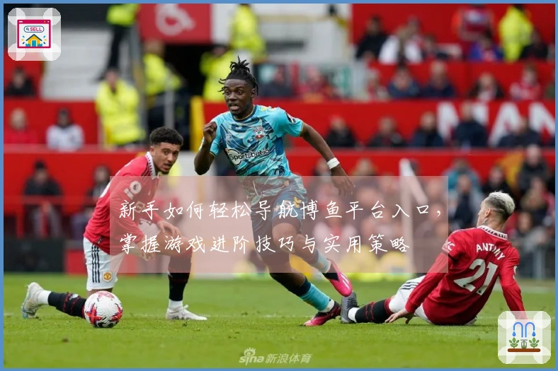 新手如何轻松导航博鱼平台入口，掌握游戏进阶技巧与实用策略