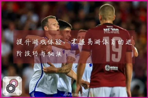 提升游戏体验，掌握易游体育的进阶技巧与秘诀